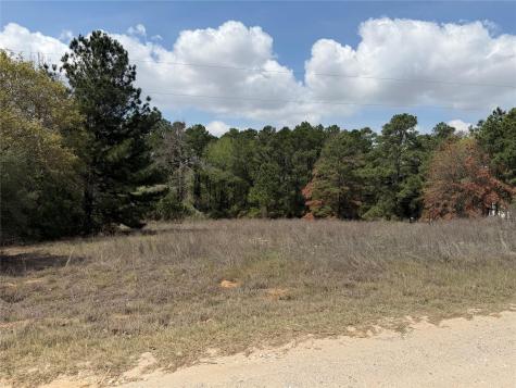 118 Edmonson Ranch Road Mcdade TX 78650