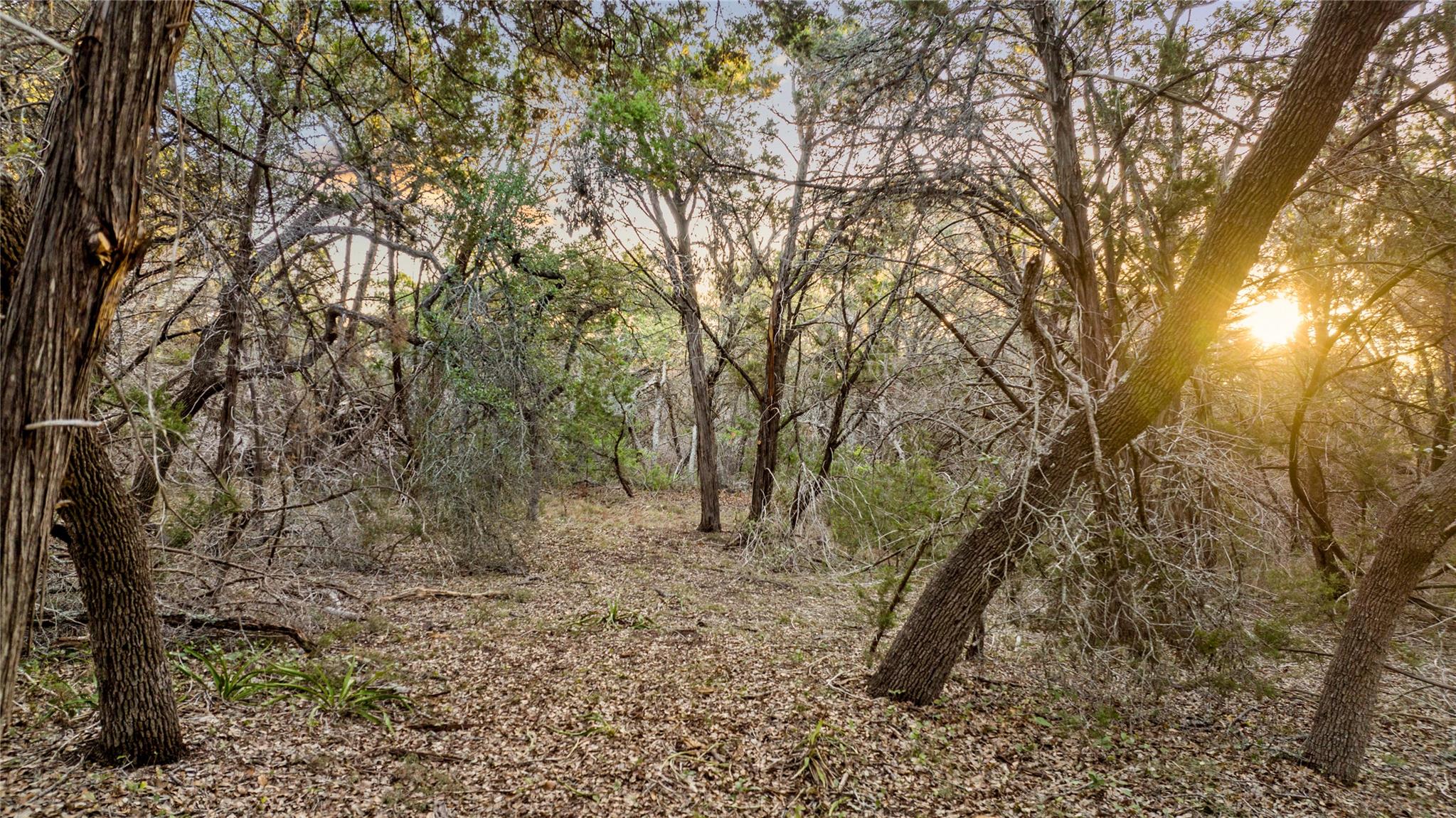 Tbd Fitzhugh Road Dripping Springs TX 78620