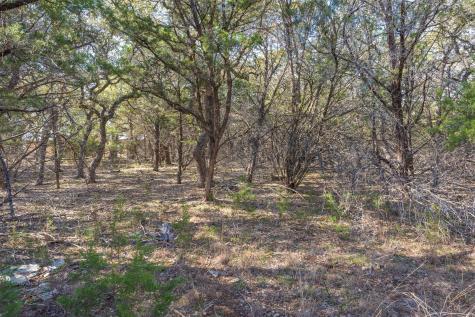 308 Ridge Oak Drive Wimberley TX 78676