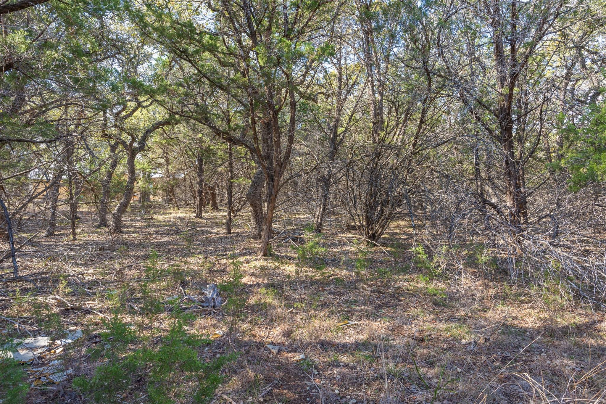 308 Ridge Oak Drive Wimberley TX 78676