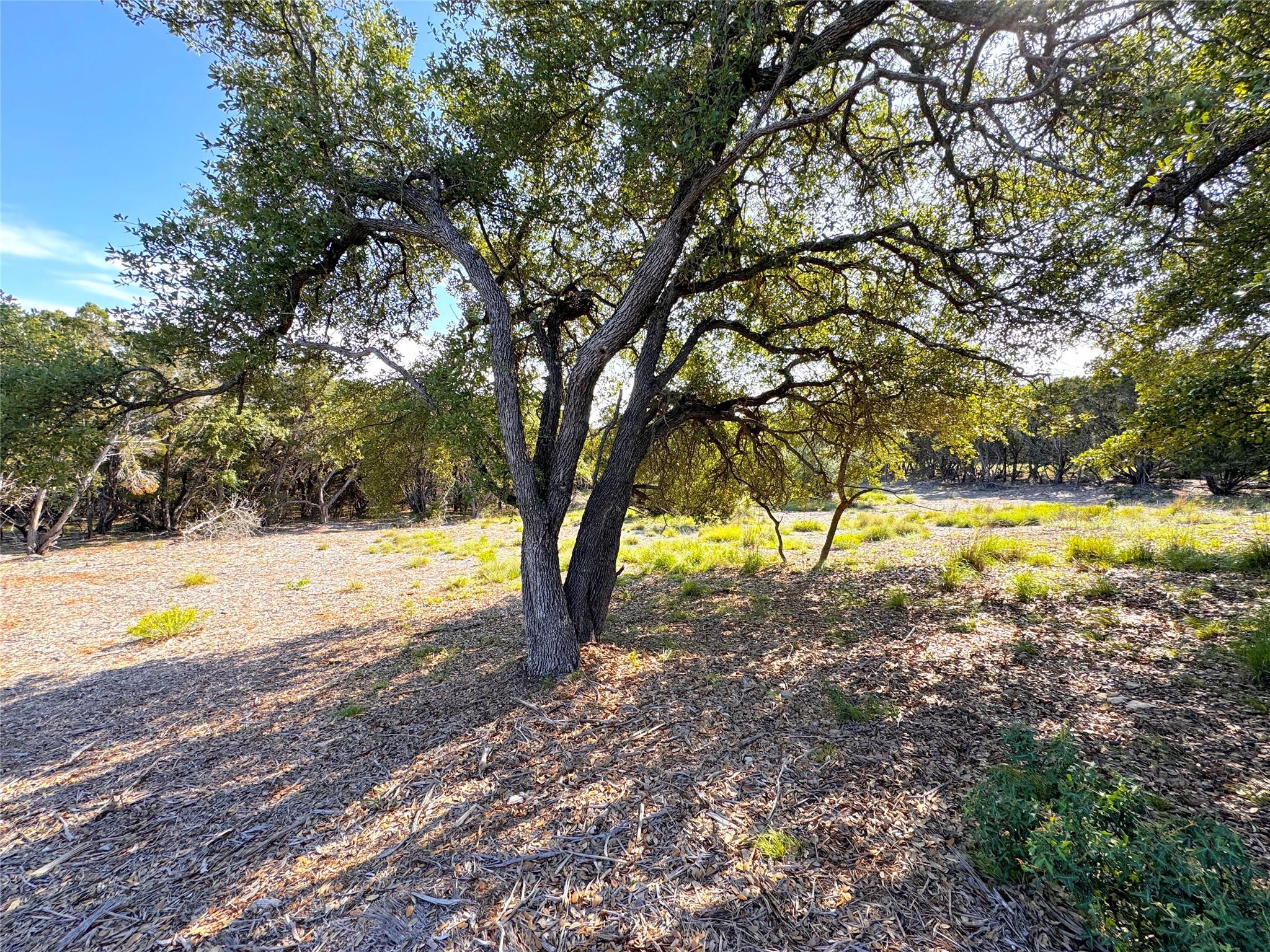 108 Sendera Way Canyon Lake TX 78133
