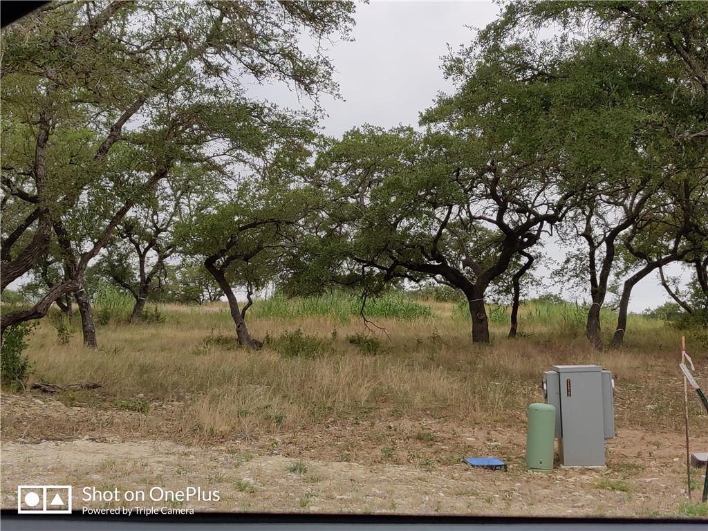 410 Whisenant Lane Dripping Springs TX 78620