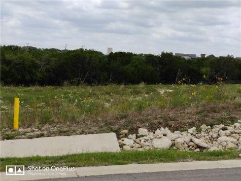 410 Whisenant Lane Dripping Springs TX 78620