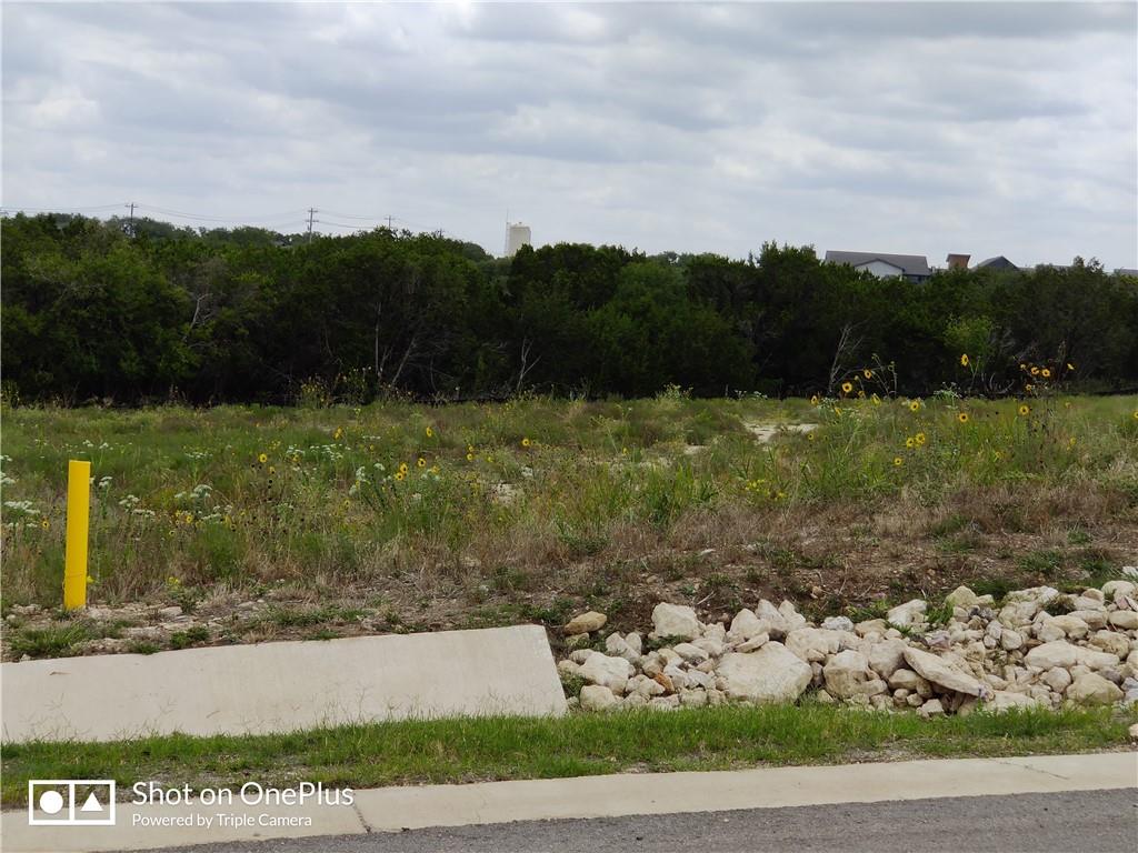 410 Whisenant Lane Dripping Springs TX 78620
