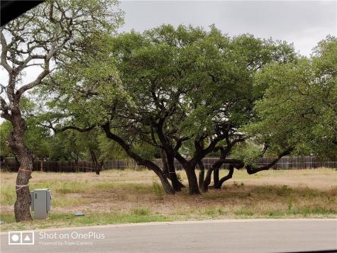 410 Whisenant Lane Dripping Springs TX 78620