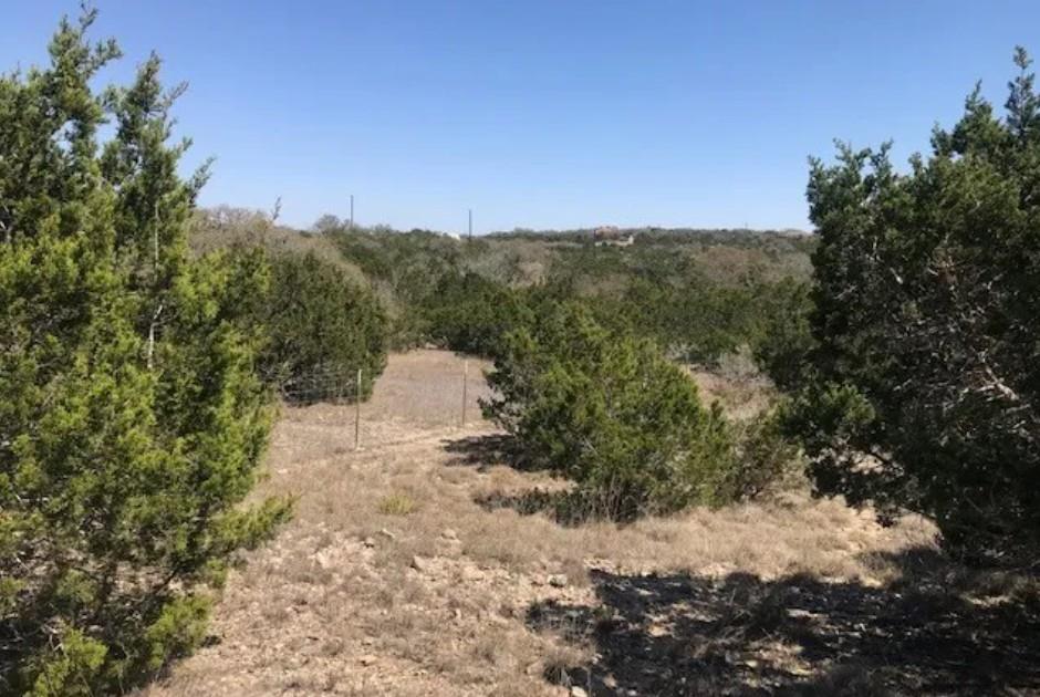 517 Left Fork Place Spring Branch TX 78070