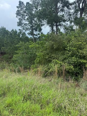 Lot 1613 Kaanapali Lane Bastrop TX 78602