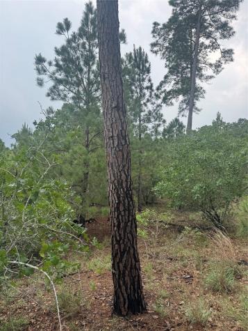 Lot 1613 Kaanapali Lane Bastrop TX 78602