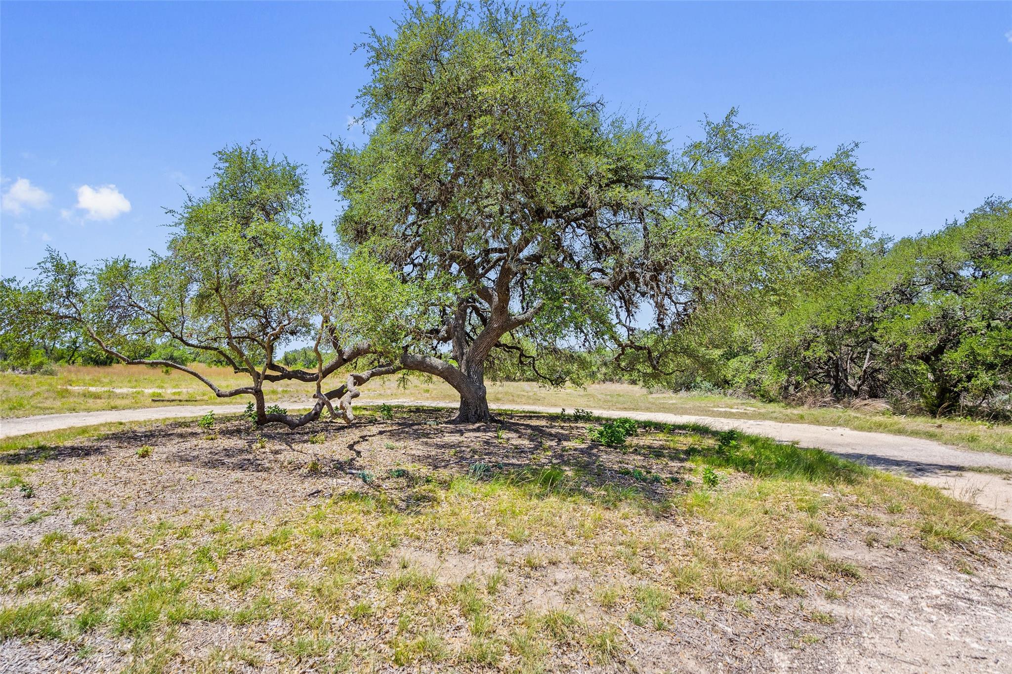 140 Lantana Drive Johnson City TX 78636