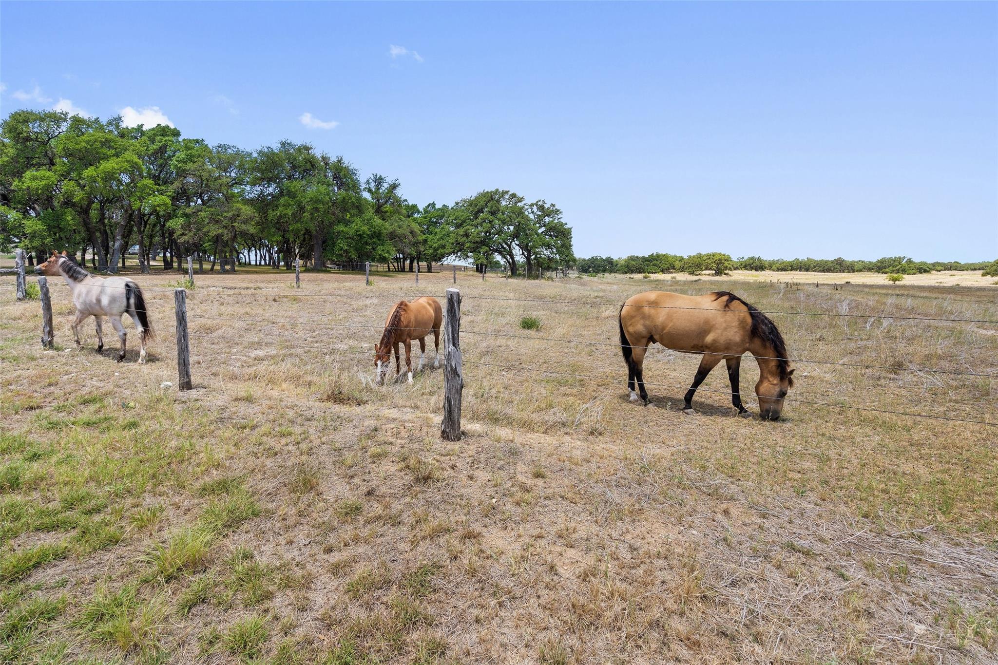 140 Lantana Drive Johnson City TX 78636