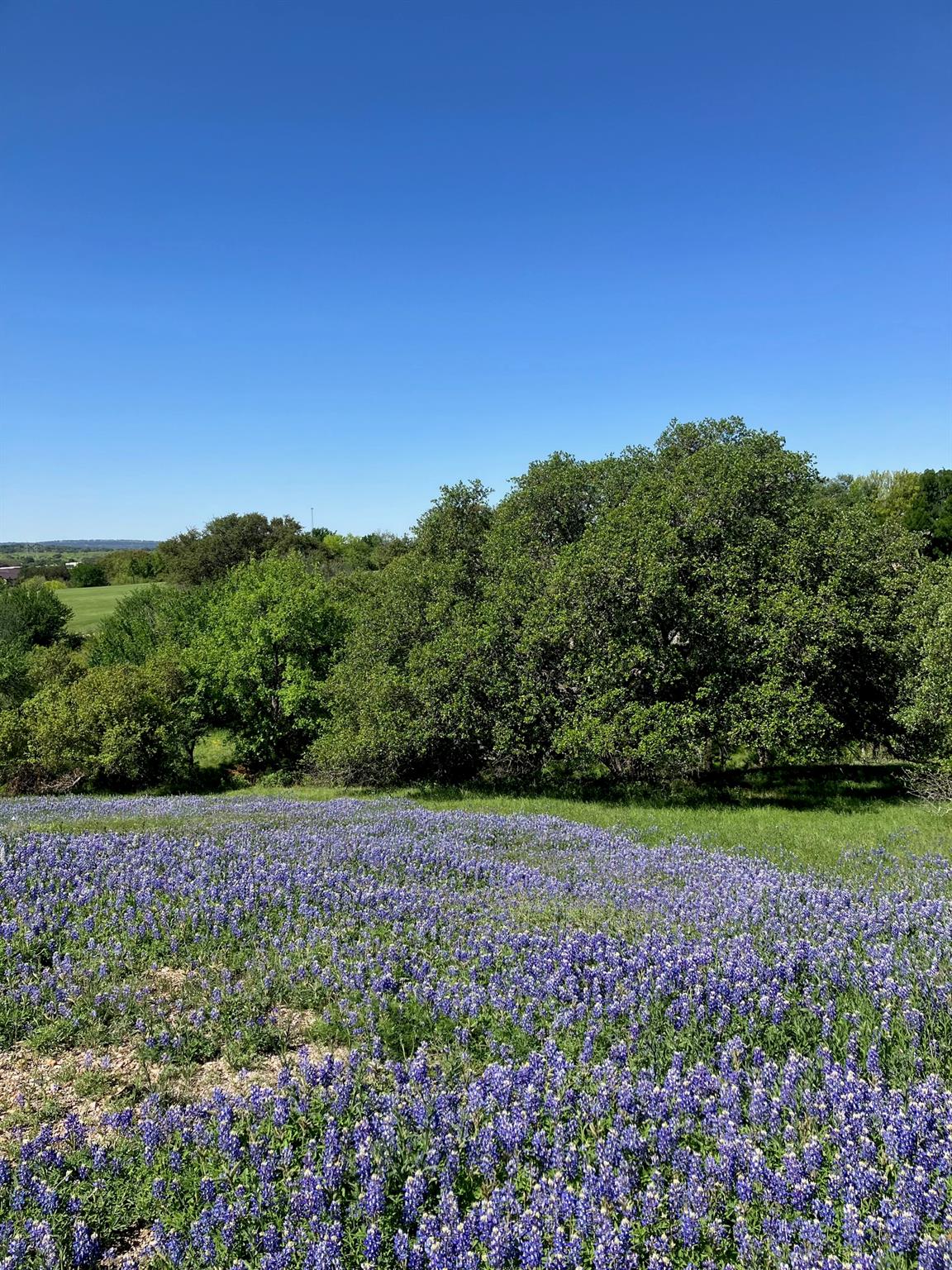 106 Ridgeway Horseshoe Bay TX 78657
