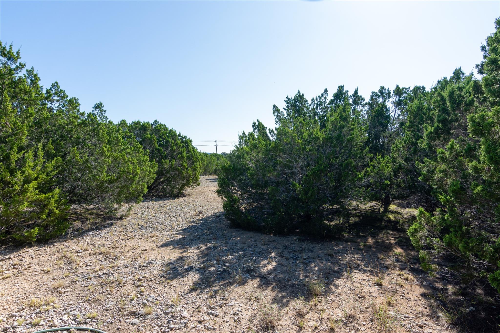 Tbd Rr12 Dripping Springs TX 78620