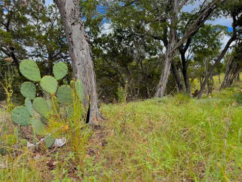 714 Caballo Trail Canyon Lake TX 78133
