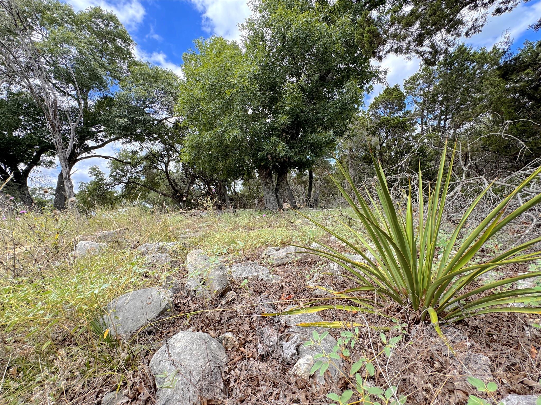 714 Caballo Trail Canyon Lake TX 78133