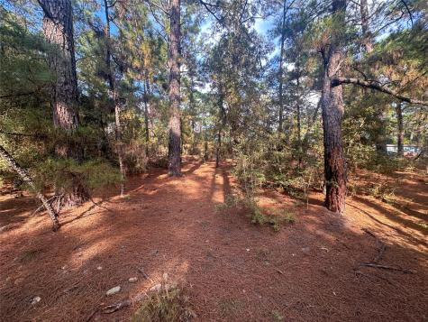 Lot 84 Hill Ridge Drive Bastrop TX 78602