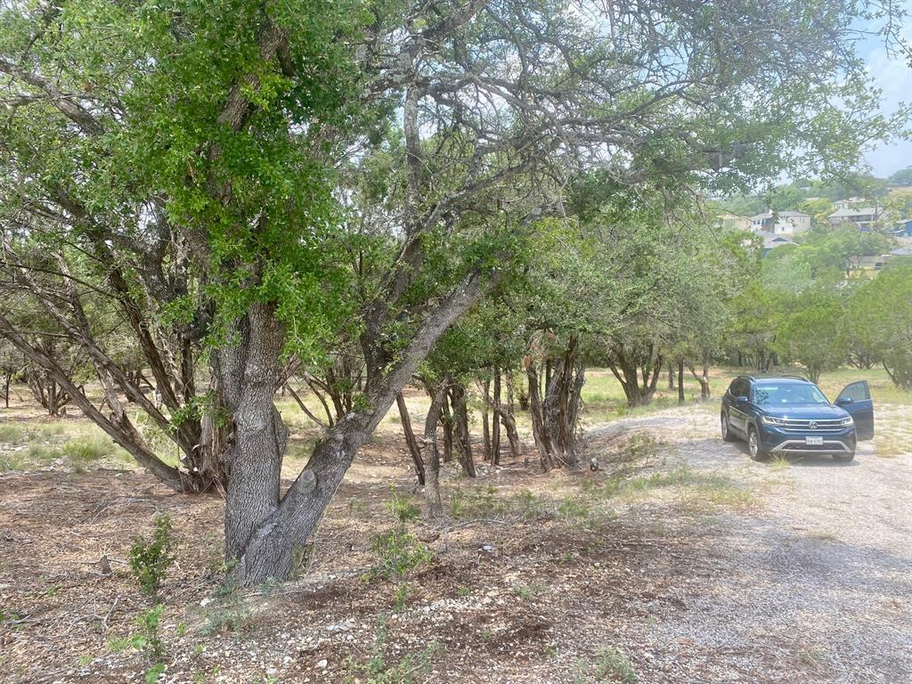 20101 Champlain Cove Lago Vista TX 78645