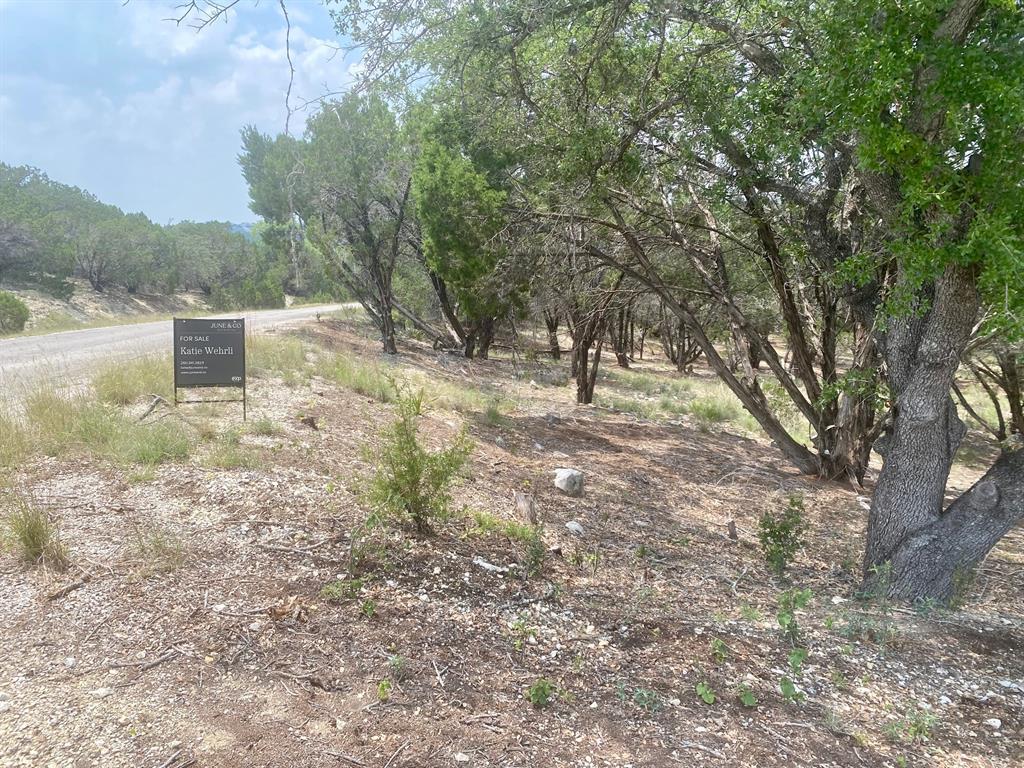 20101 Champlain Cove Lago Vista TX 78645