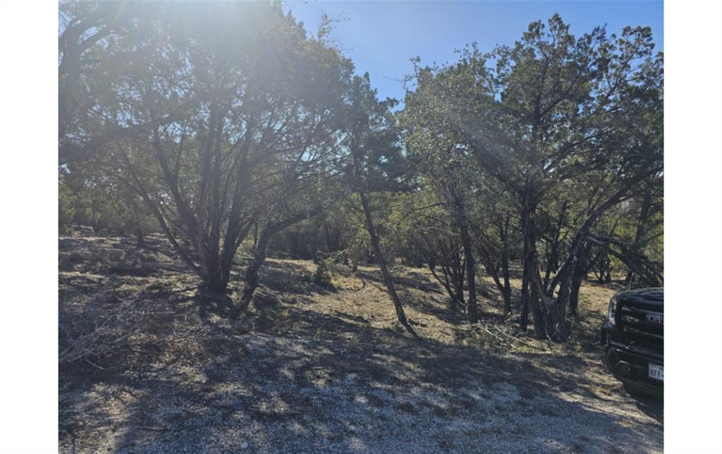 20101 Champlain Cove Lago Vista TX 78645