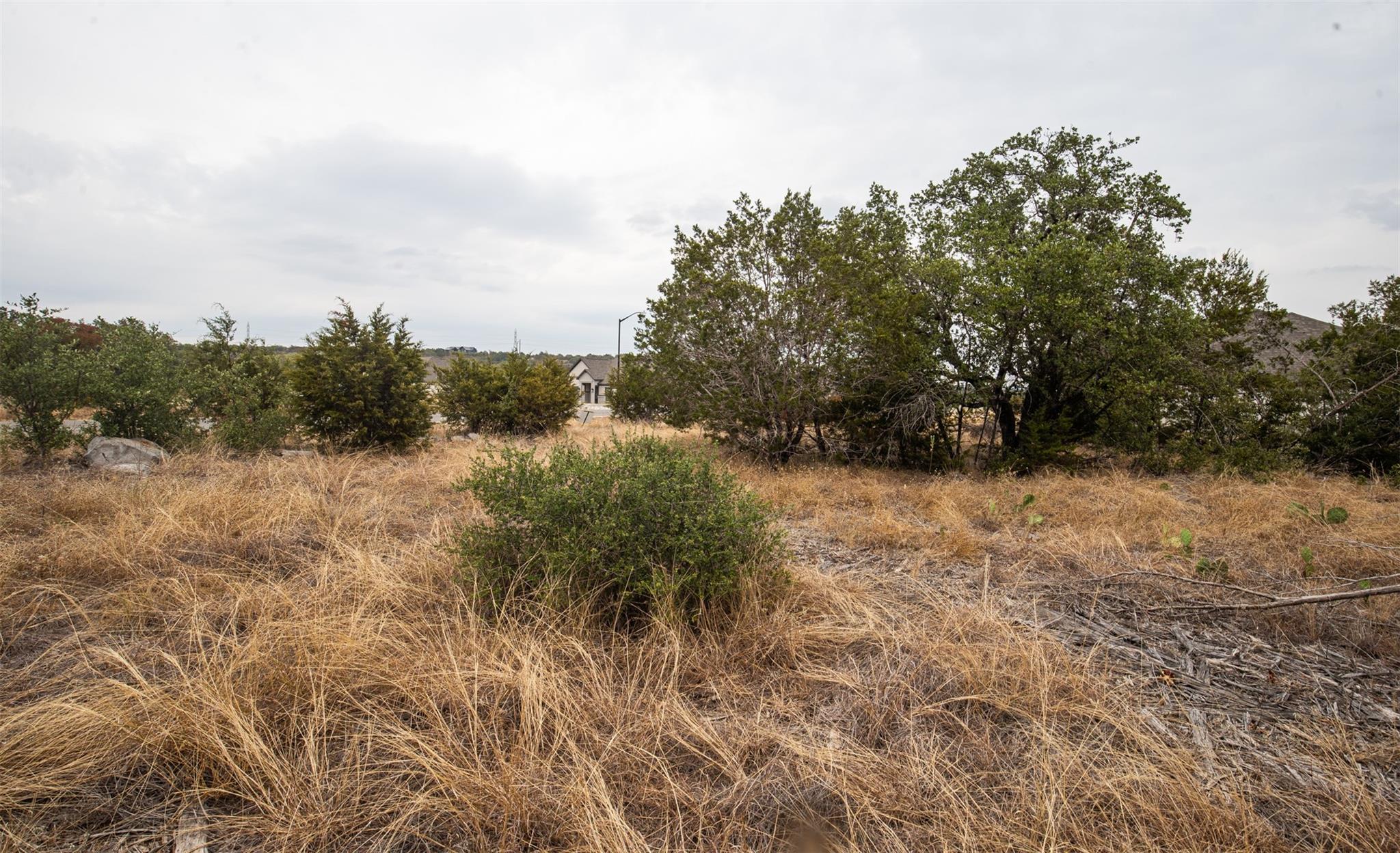 Lot 44 Mountain Laurel Lane Spicewood TX 78669