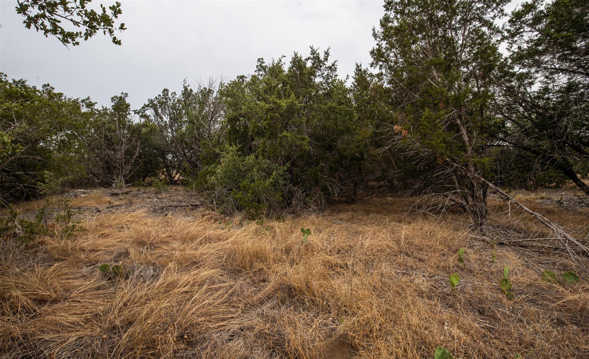 Lot 44 Mountain Laurel Lane Spicewood TX 78669