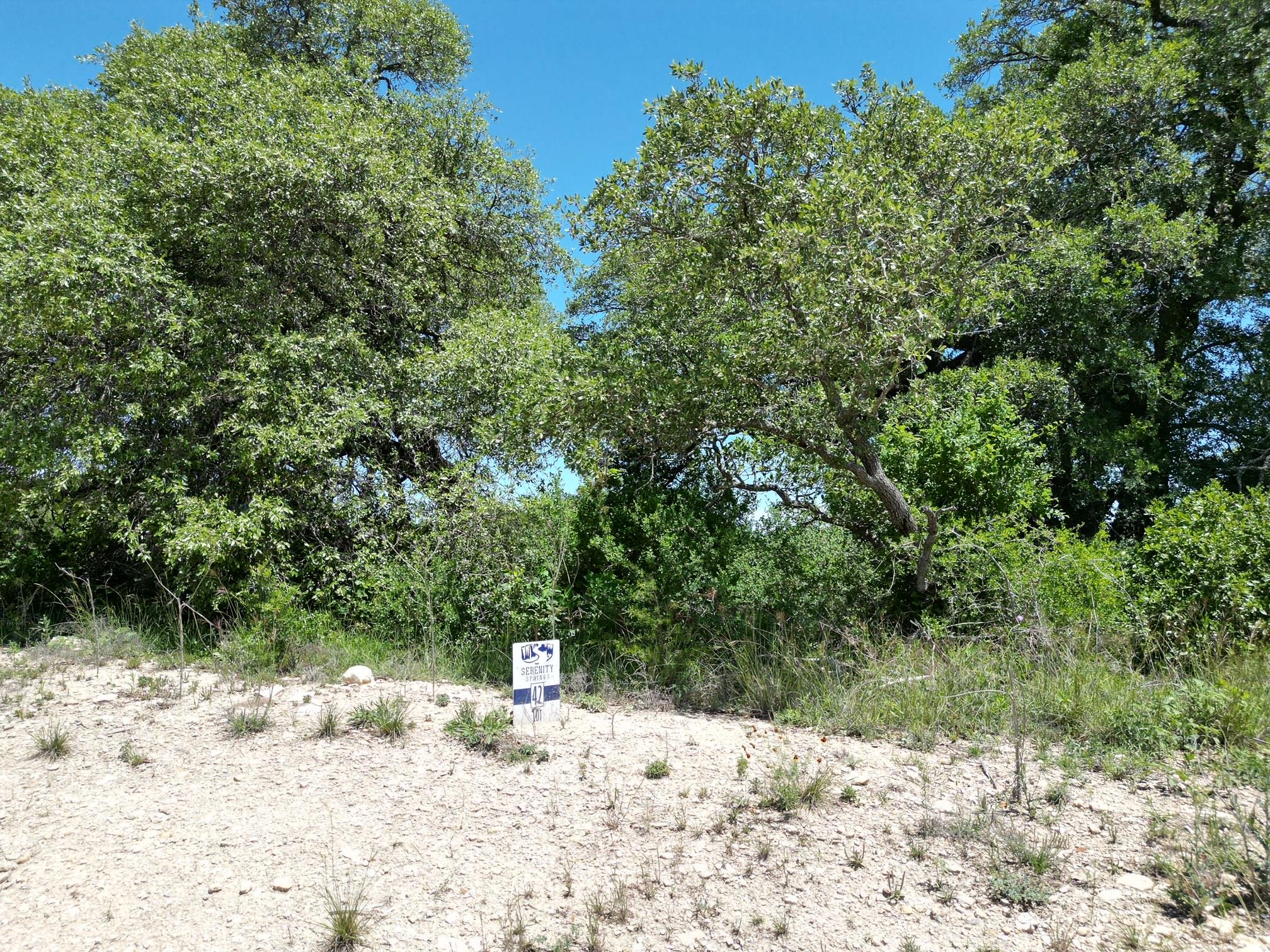 Lot 42 Serenity Drive Bertram TX 78605