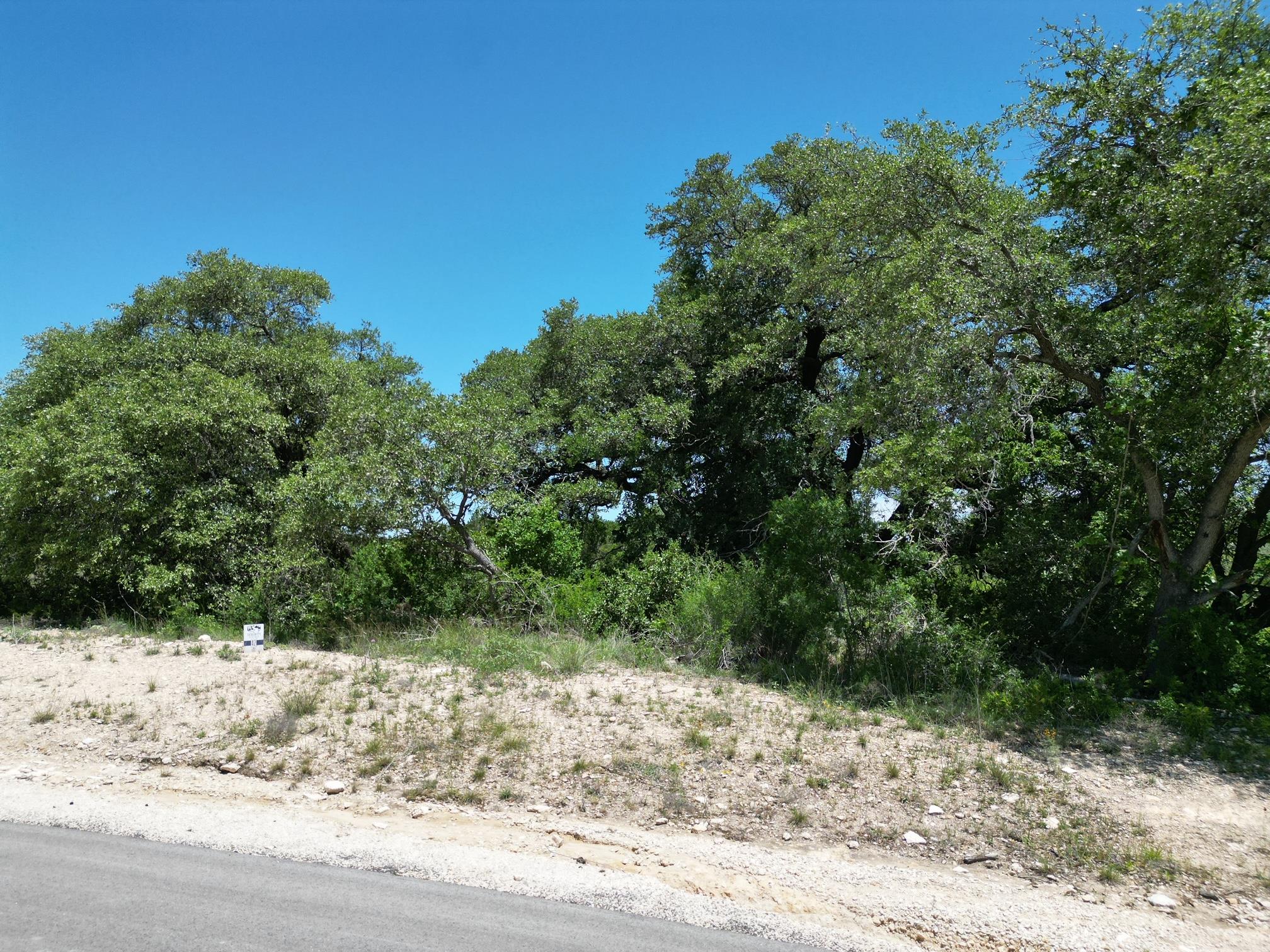 Lot 42 Serenity Drive Bertram TX 78605