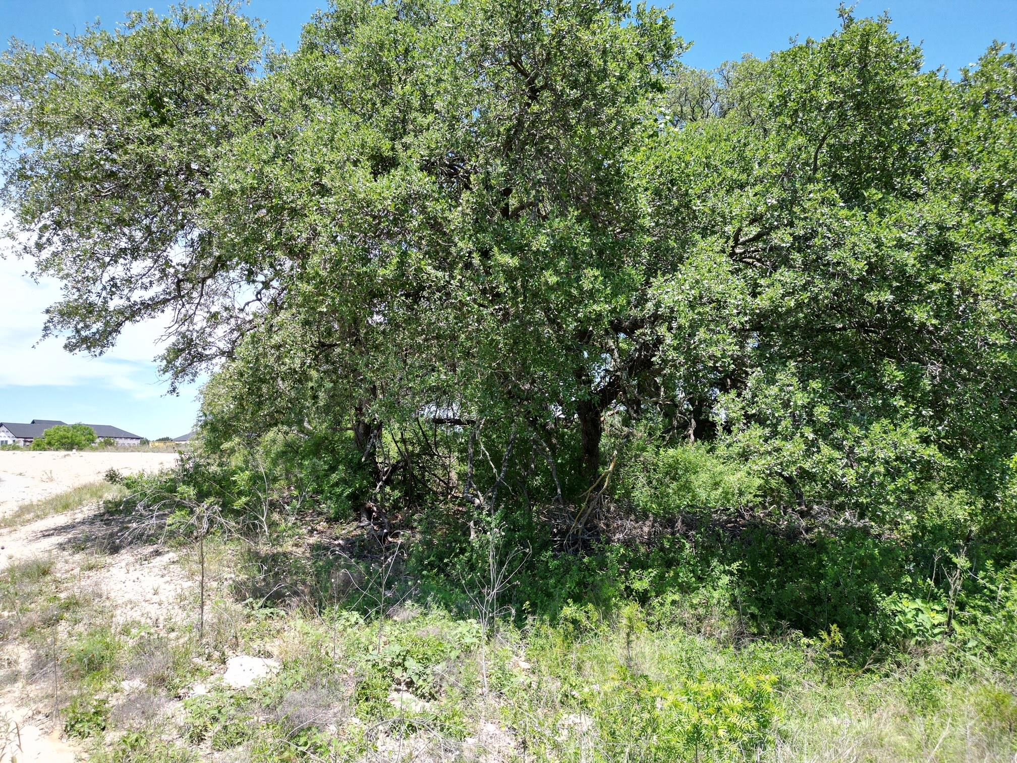 Lot 42 Serenity Drive Bertram TX 78605