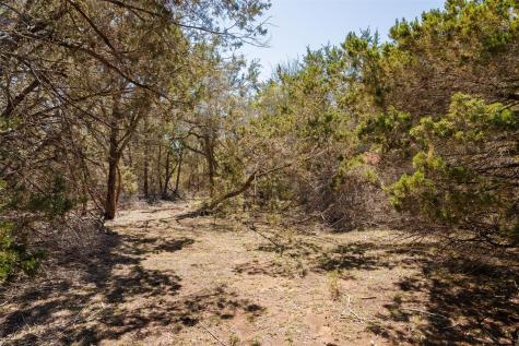 274 Ira Hill Road Dripping Springs TX 78620
