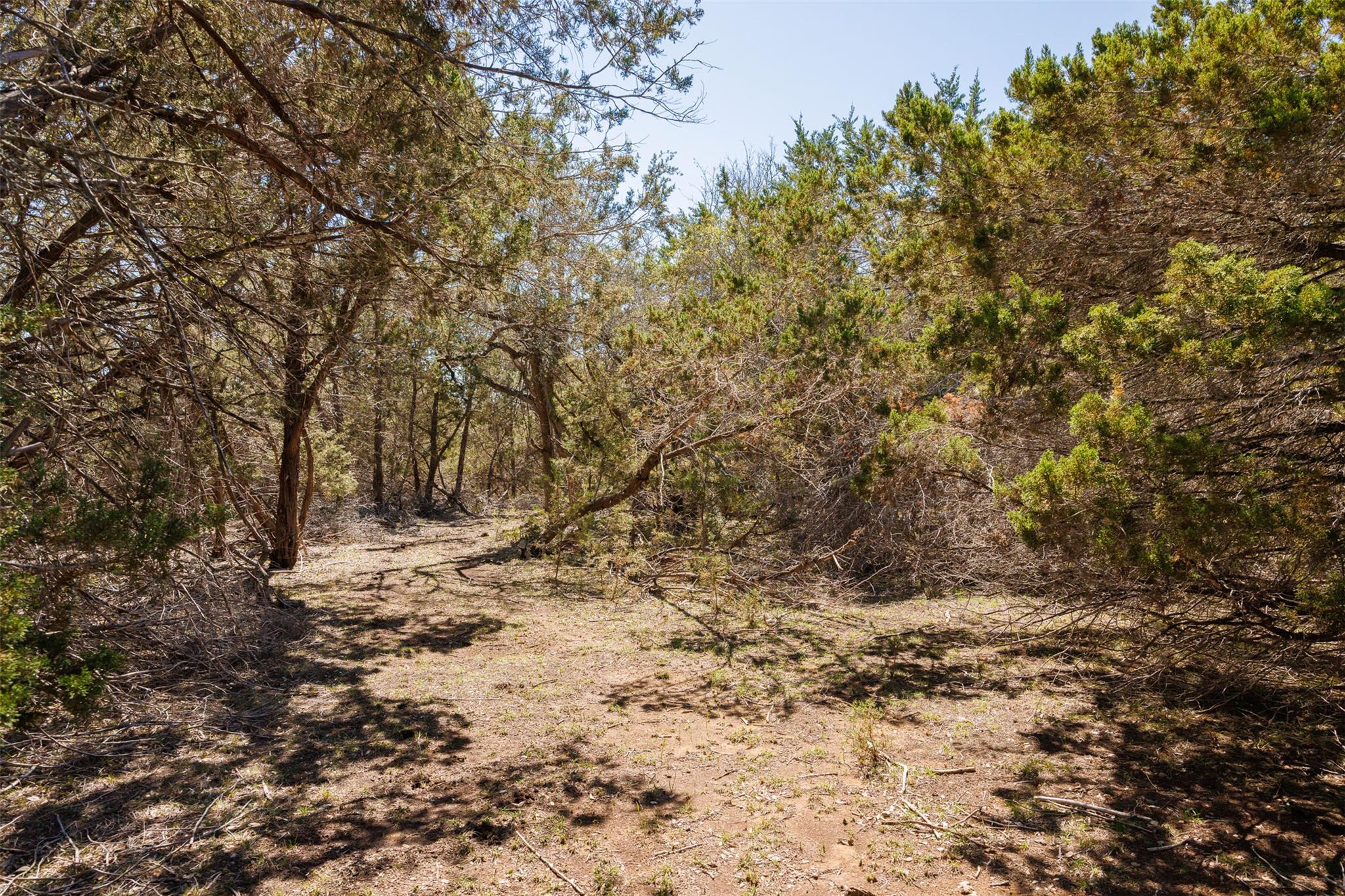 274 Ira Hill Road Dripping Springs TX 78620