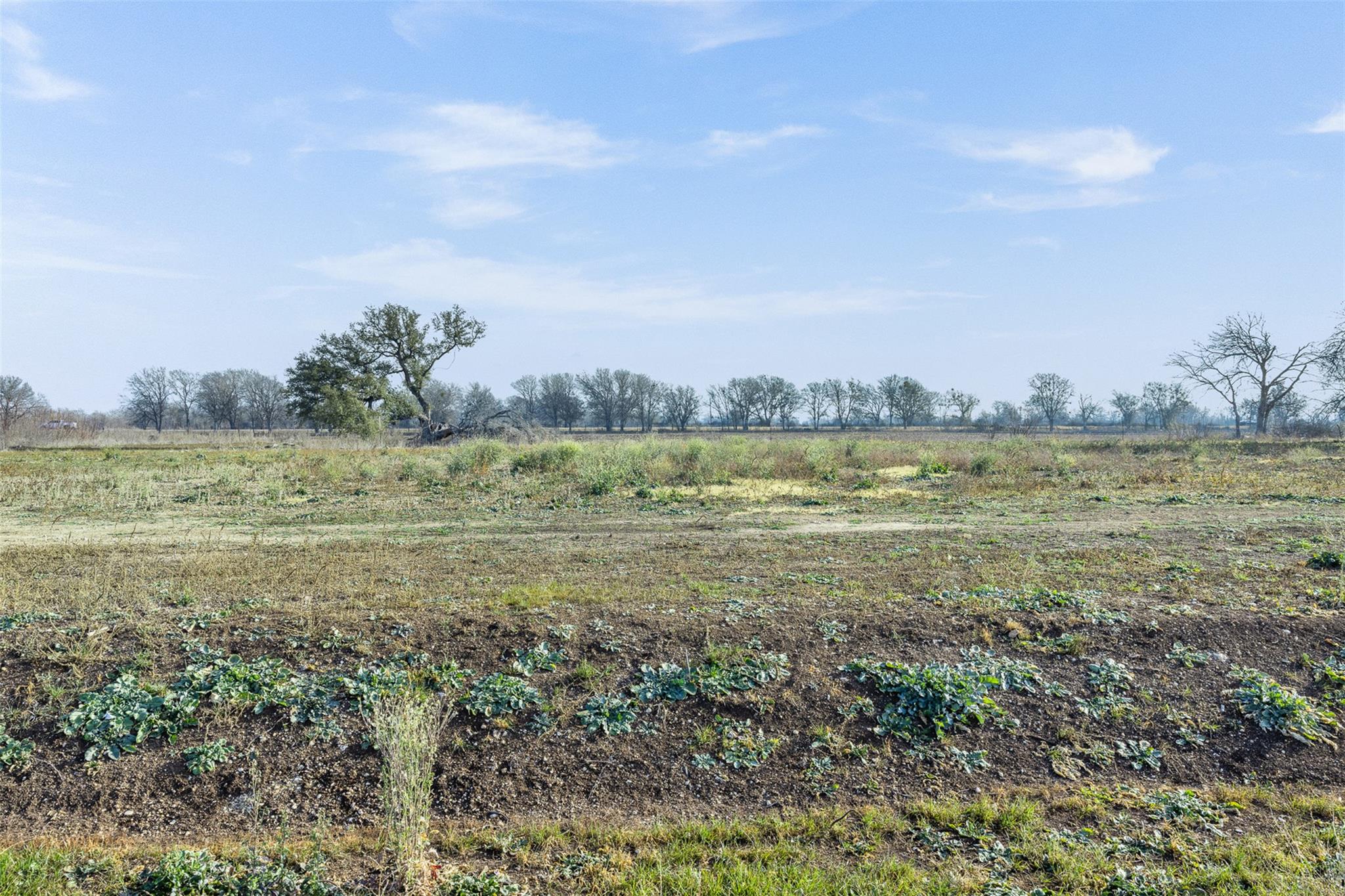 333 Quail Run Road Martindale TX 78655