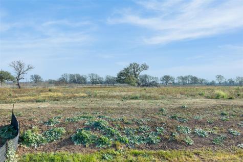 333 Quail Run Road Martindale TX 78655