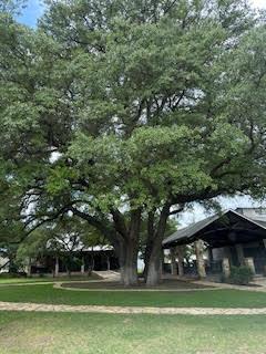 108 Cross Trail Spicewood TX 78669