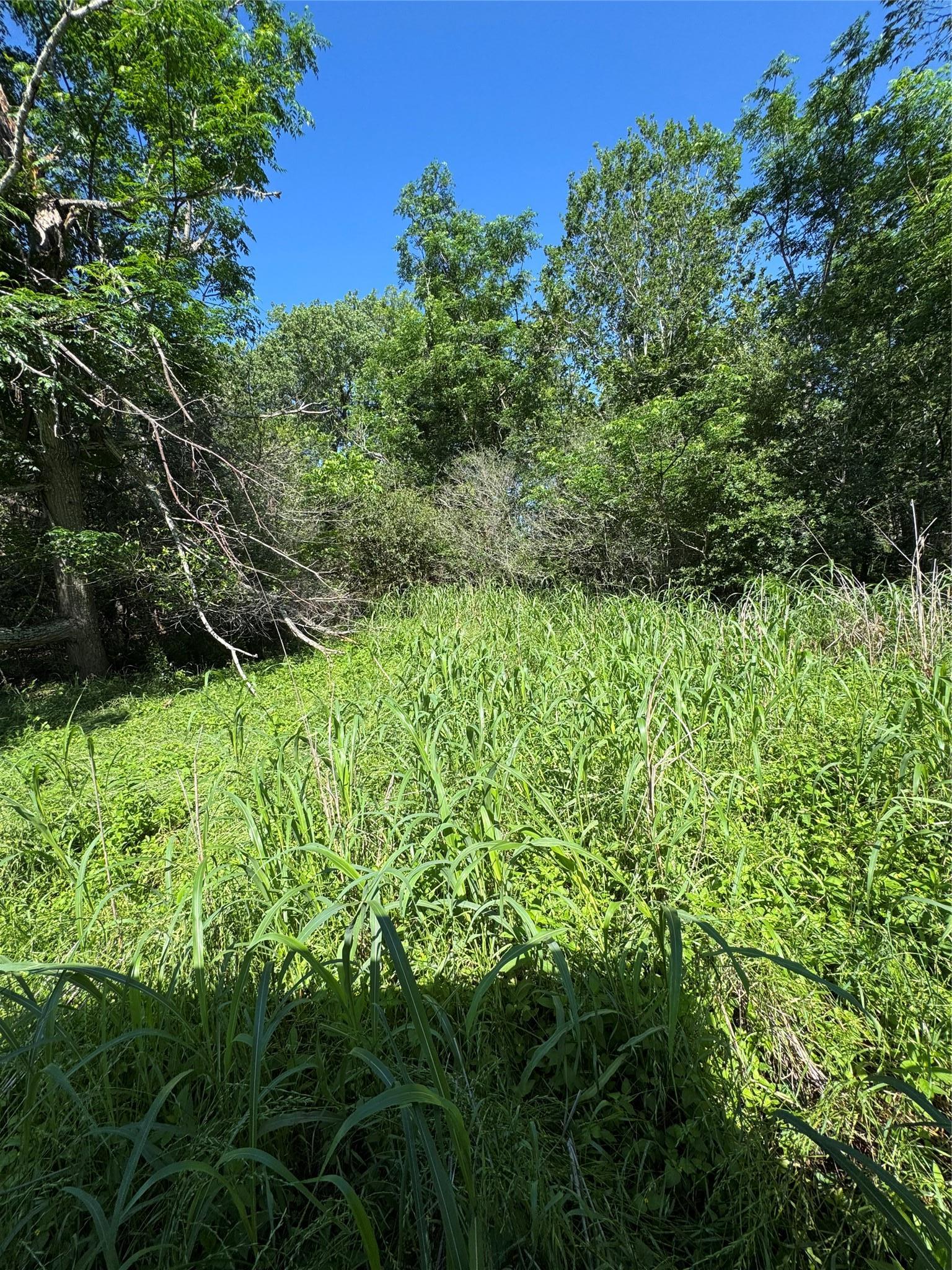 600 Gazley Street Smithville TX 78957
