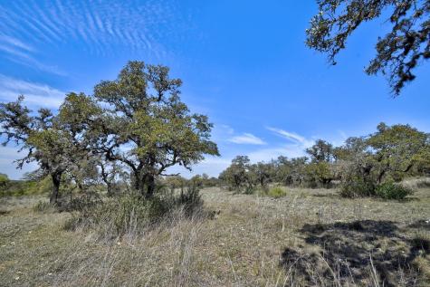 343 Cattle Creek Drive Johnson City TX 78636
