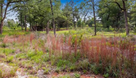 200 Cheyenne Drive Smithville TX 78957