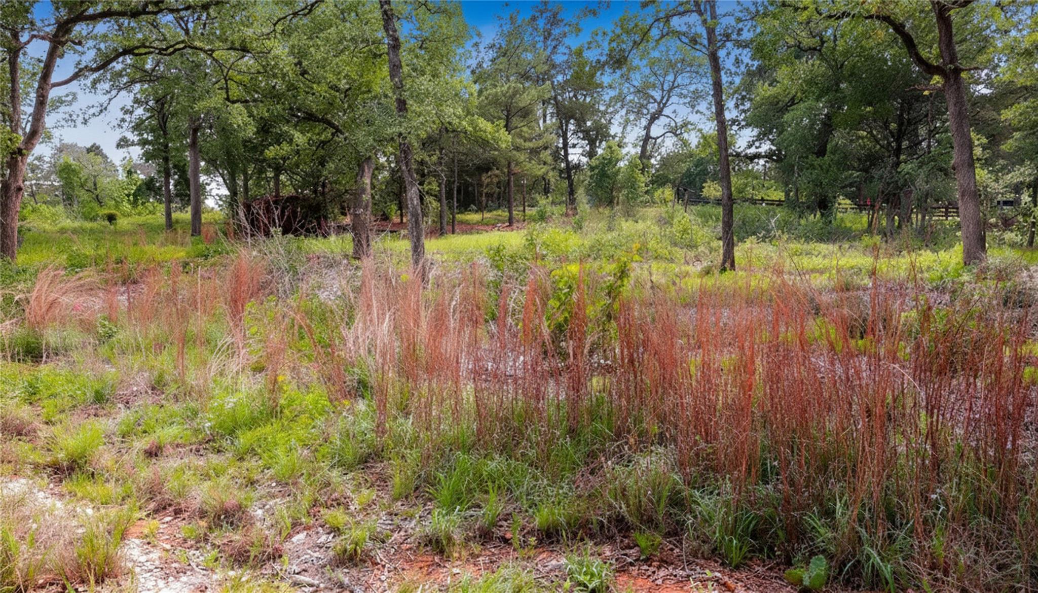 200 Cheyenne Drive Smithville TX 78957