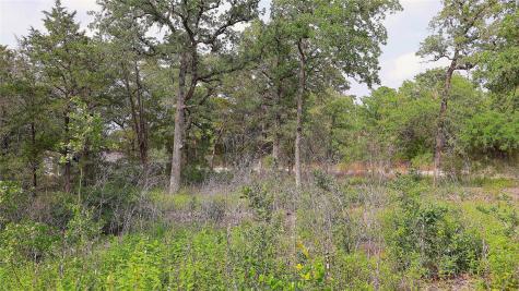 200 Cheyenne Drive Smithville TX 78957