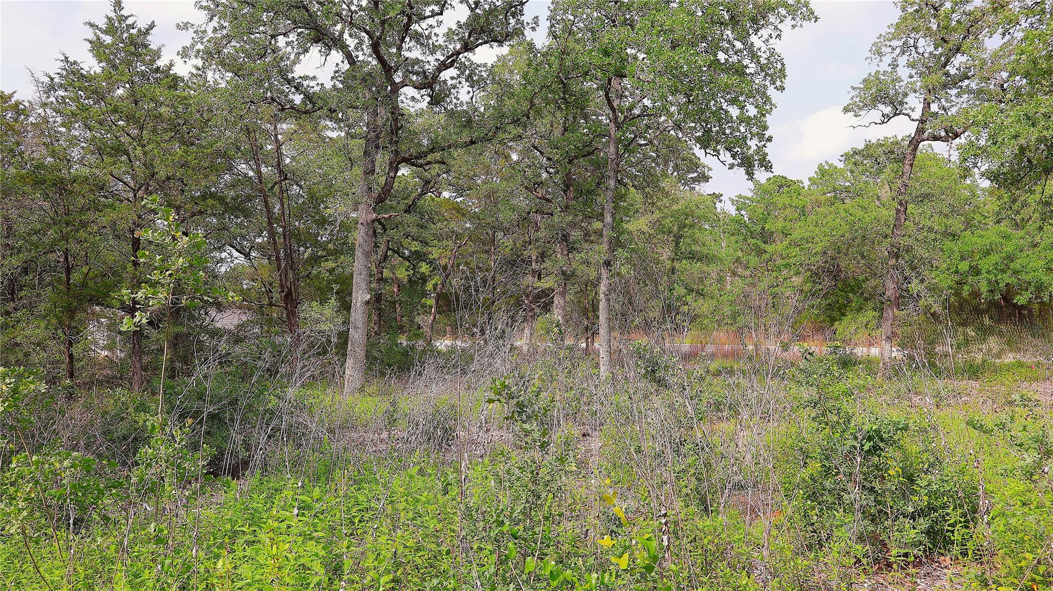 200 Cheyenne Drive Smithville TX 78957
