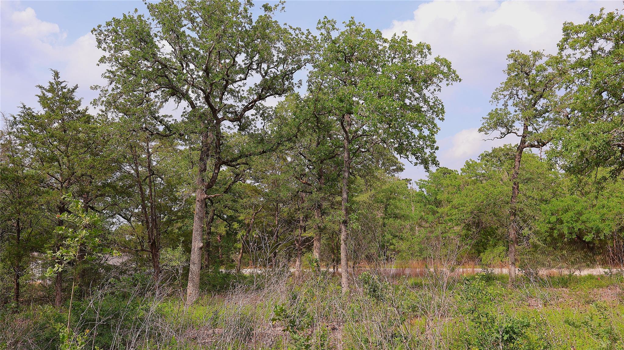 200 Cheyenne Drive Smithville TX 78957