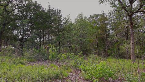 200 Cheyenne Drive Smithville TX 78957
