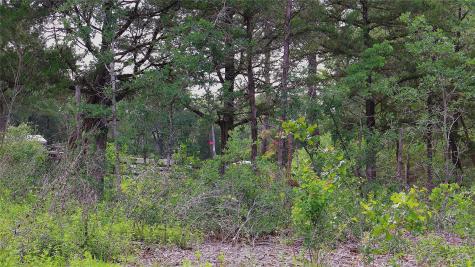 200 Cheyenne Drive Smithville TX 78957