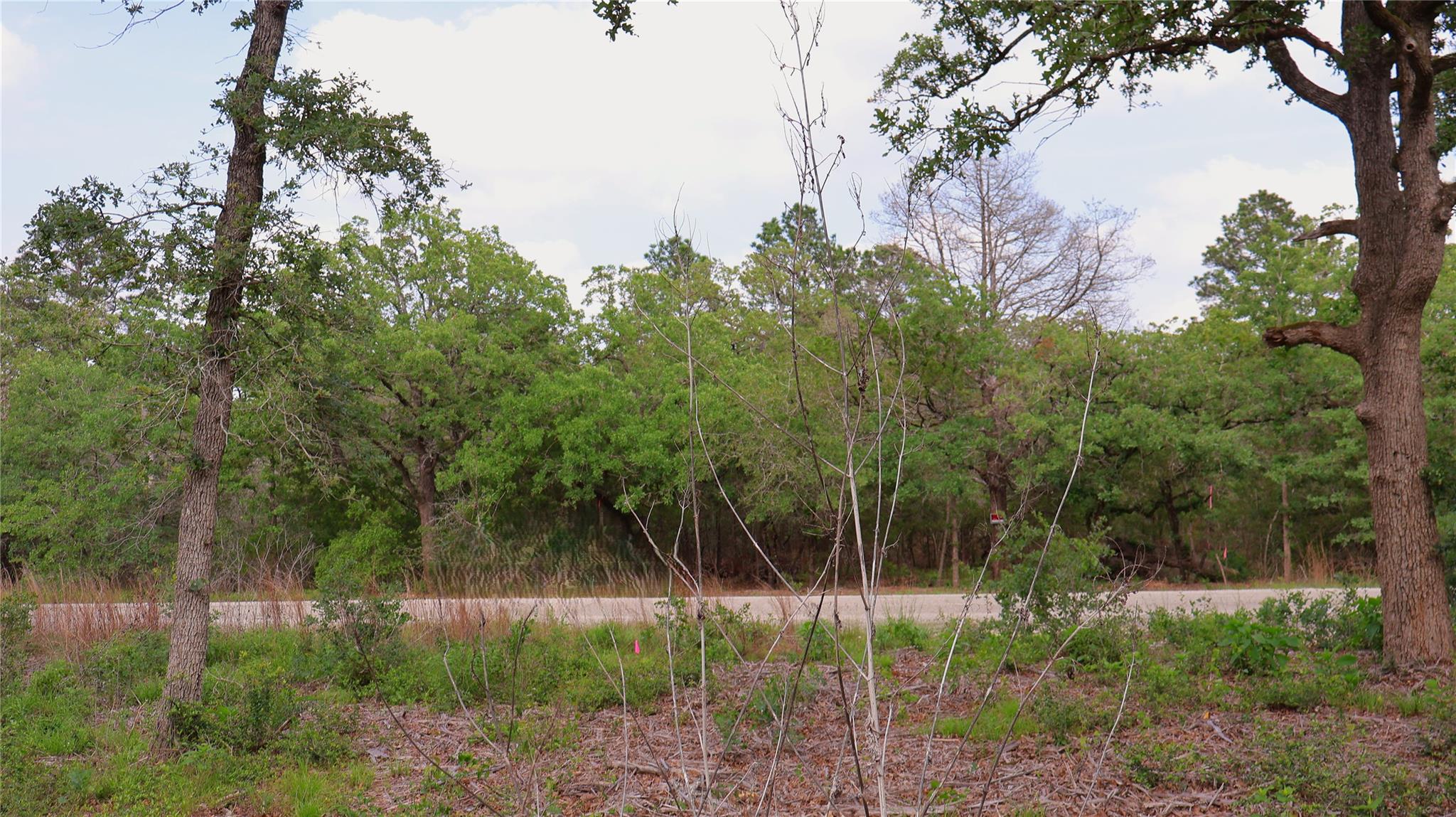 200 Cheyenne Drive Smithville TX 78957