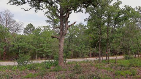 200 Cheyenne Drive Smithville TX 78957