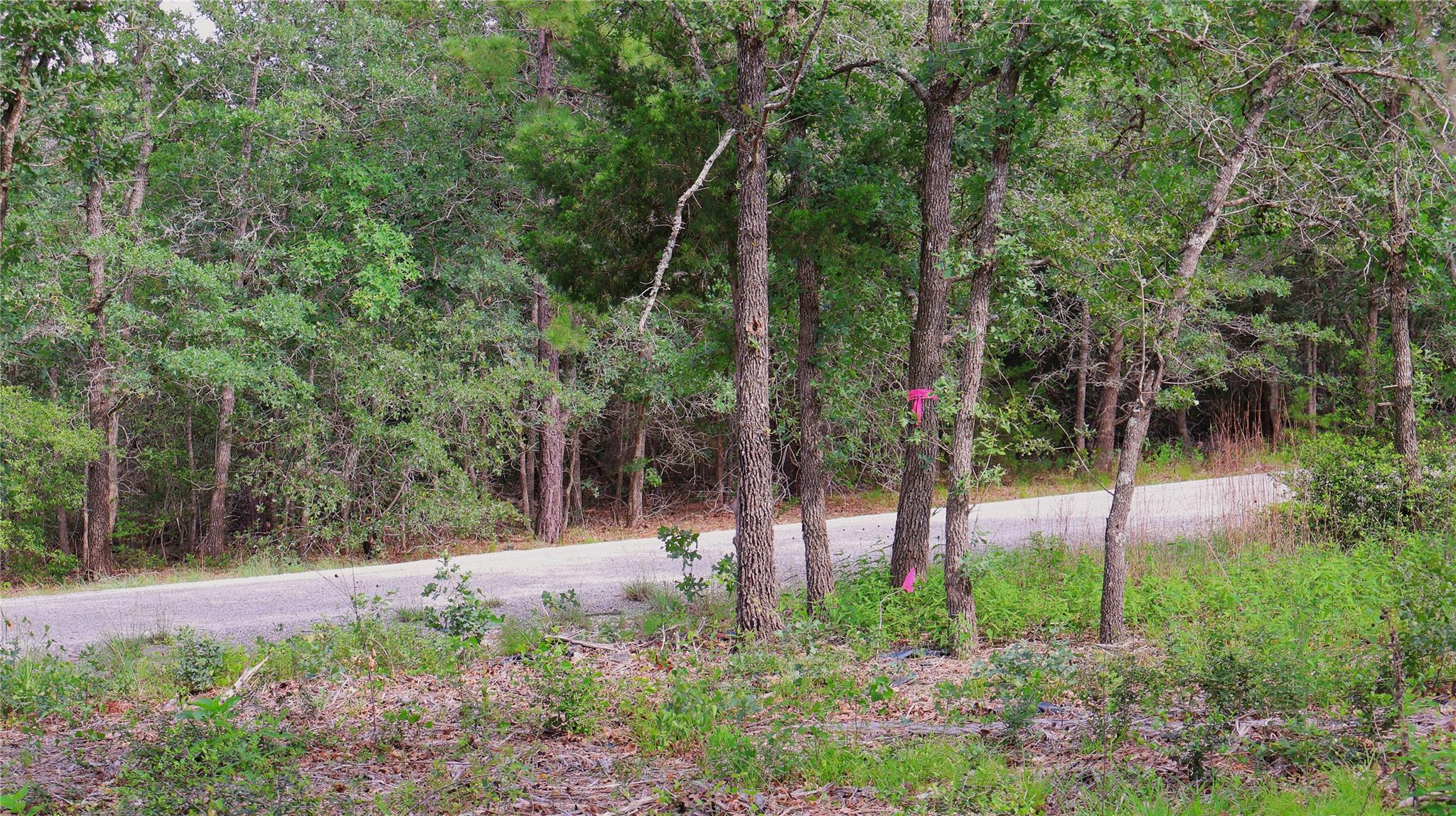 200 Cheyenne Drive Smithville TX 78957