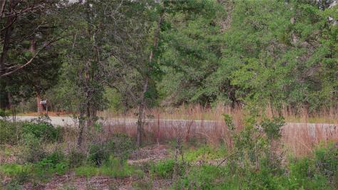 200 Cheyenne Drive Smithville TX 78957
