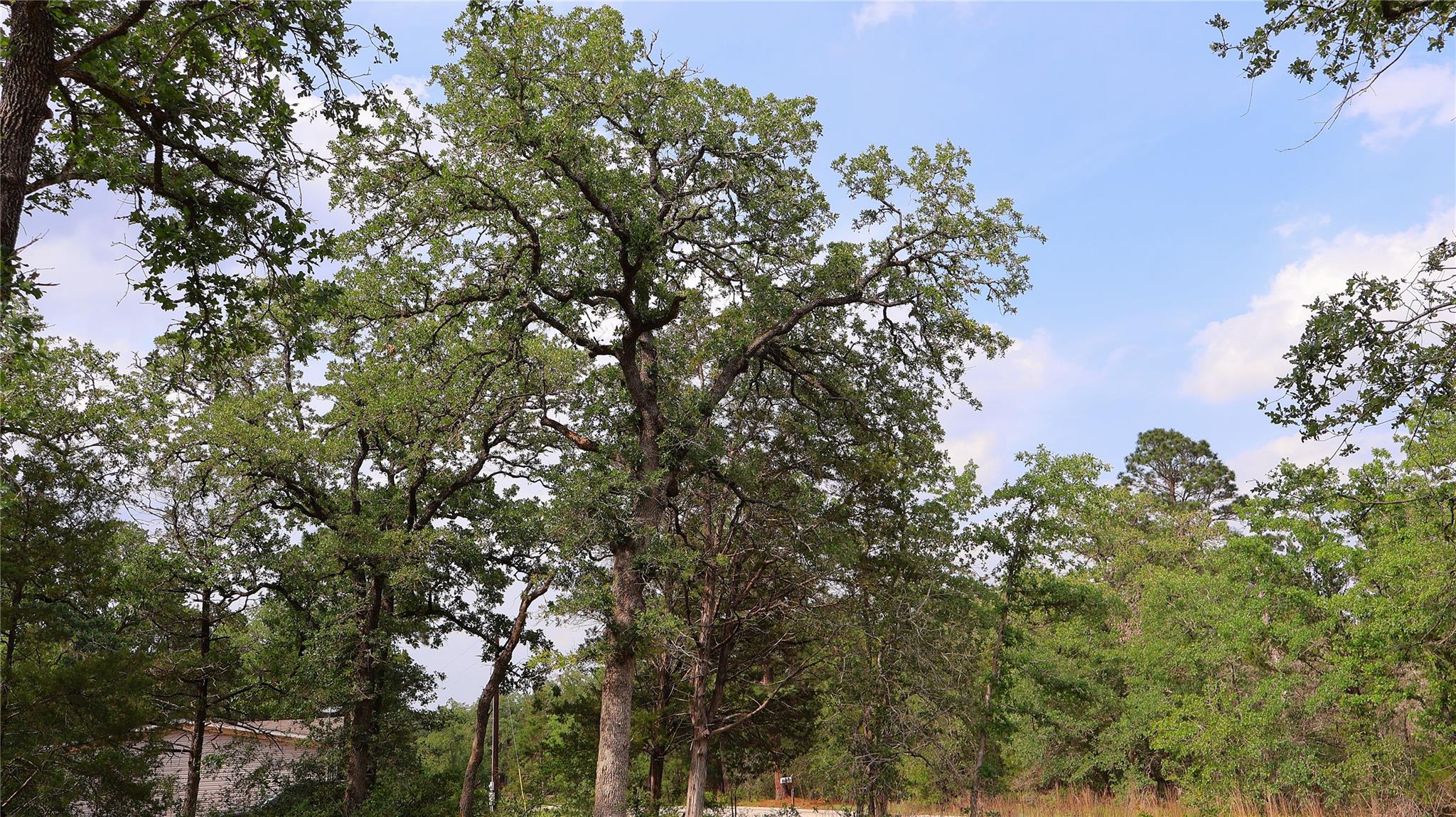 200 Cheyenne Drive Smithville TX 78957