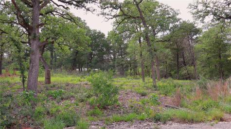 200 Cheyenne Drive Smithville TX 78957
