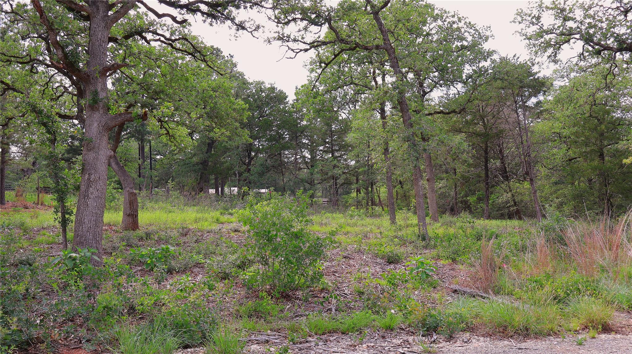 200 Cheyenne Drive Smithville TX 78957