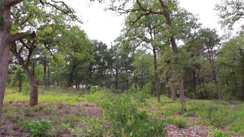 200 Cheyenne Drive Smithville TX 78957