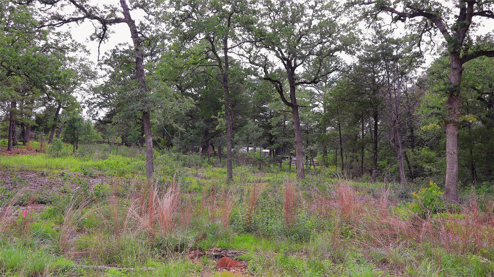 200 Cheyenne Drive Smithville TX 78957